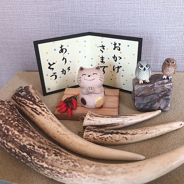 siroさんの実例写真