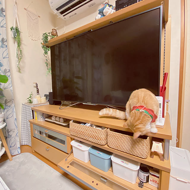 moolさんの部屋