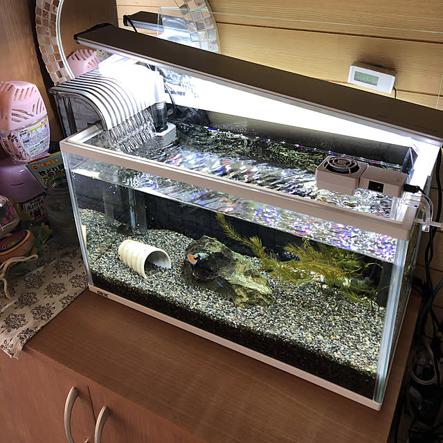 atanさんの実例写真