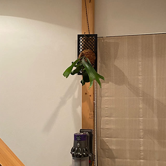 shokuchudokuさんの部屋