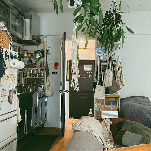 無印良品/DIY/観葉植物/部屋全体のインテリア実例 - 2021-11-28 10:27:44