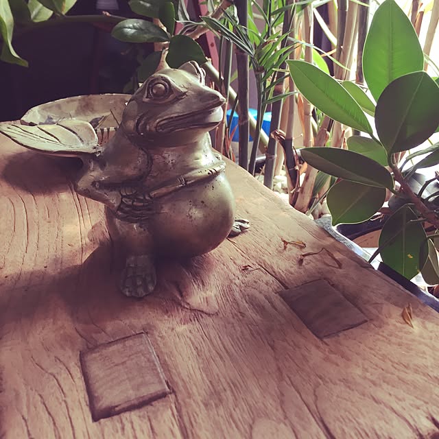kouさんの実例写真