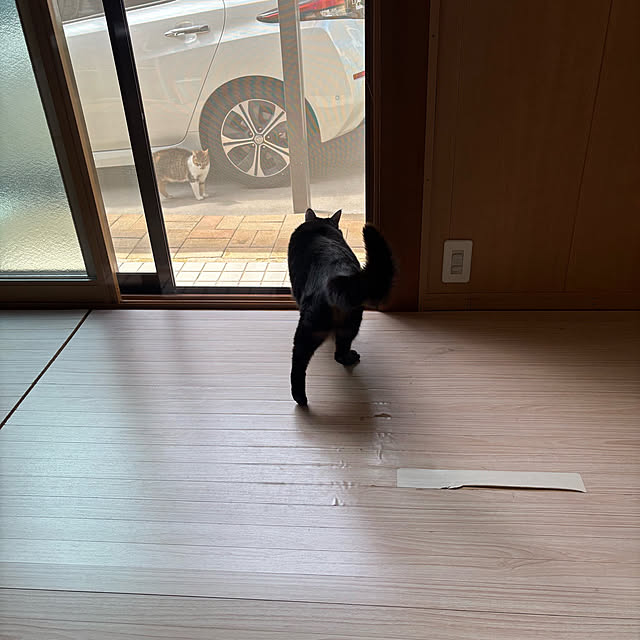 momocchiさんの部屋