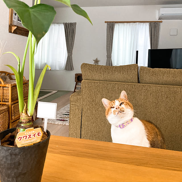 mariさんの実例写真