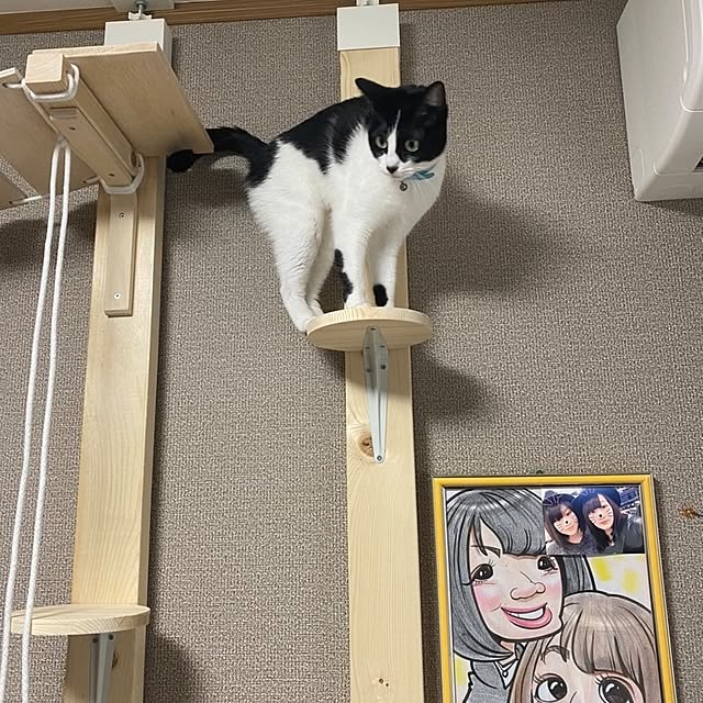 masumiさんの部屋