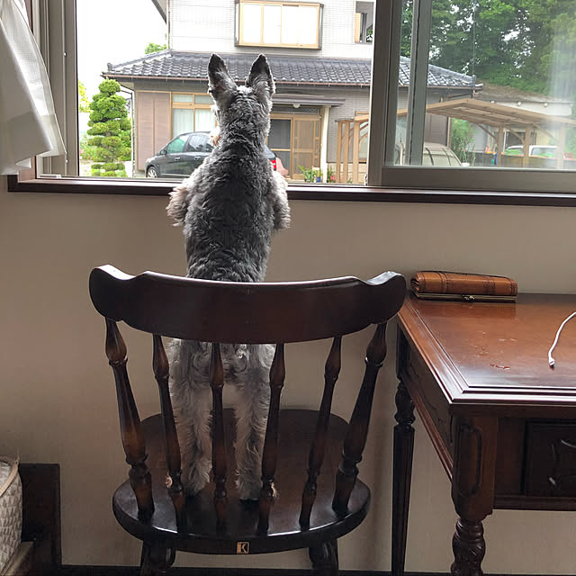 yumiさんの実例写真