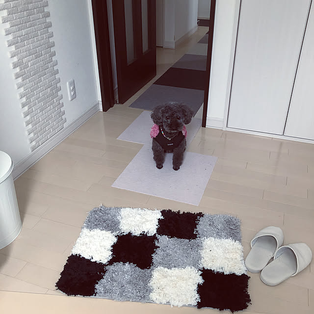 mama_panさんの実例写真
