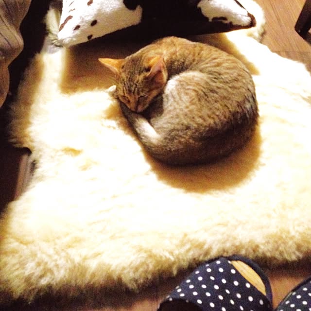 1633さんの実例写真