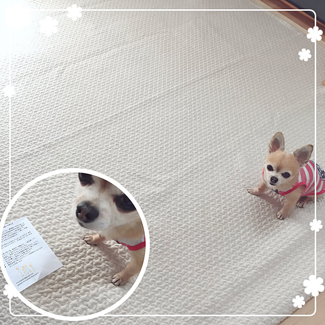 Emiさんの実例写真