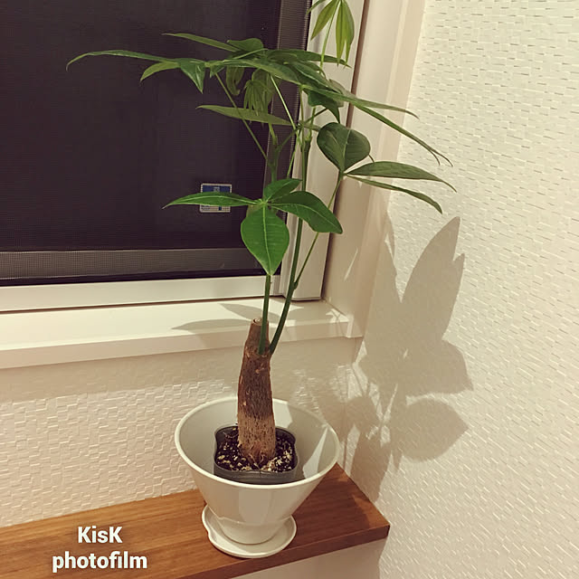 KisKさんの実例写真