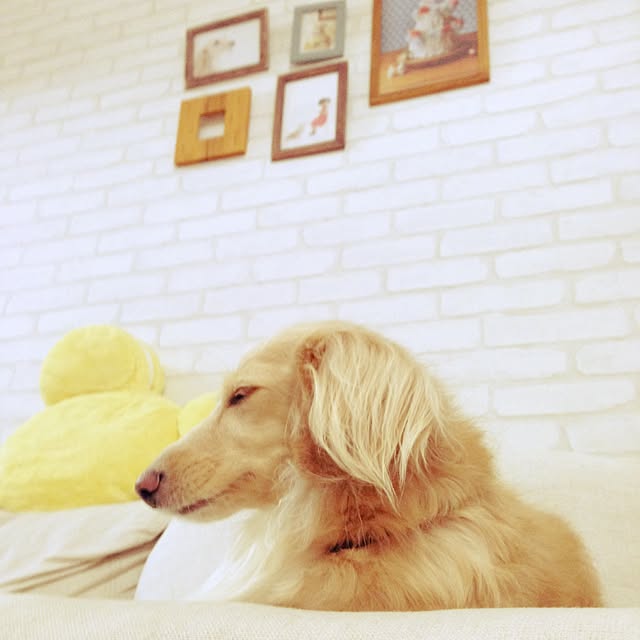 Erinさんの実例写真