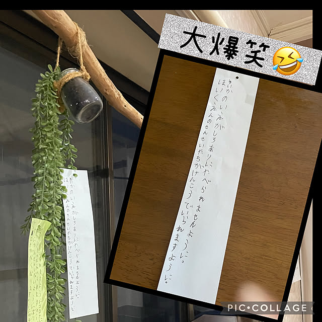 izuさんの実例写真