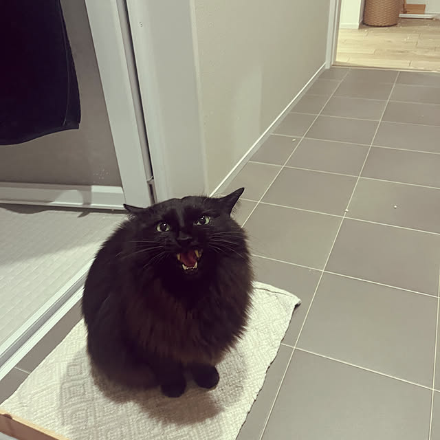 nuffyさんの実例写真