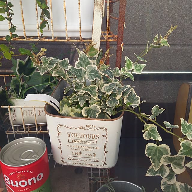 Myuuさんの実例写真