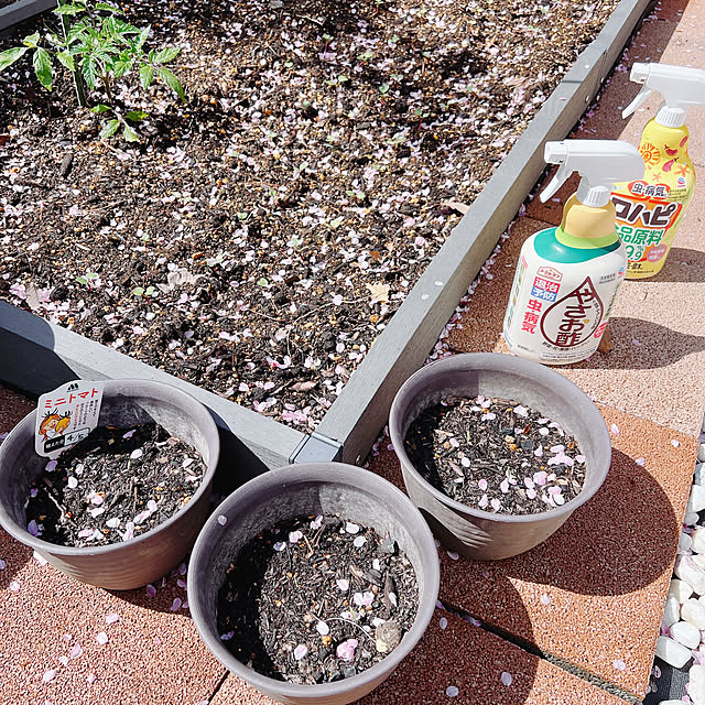 chanduさんの部屋