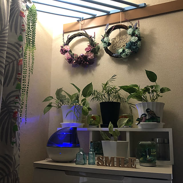 Mitsuさんの実例写真