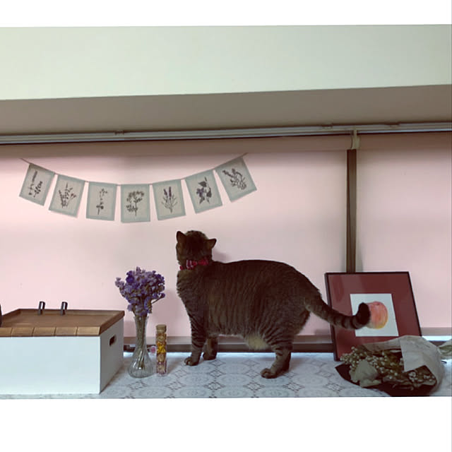 mimiruruさんの実例写真