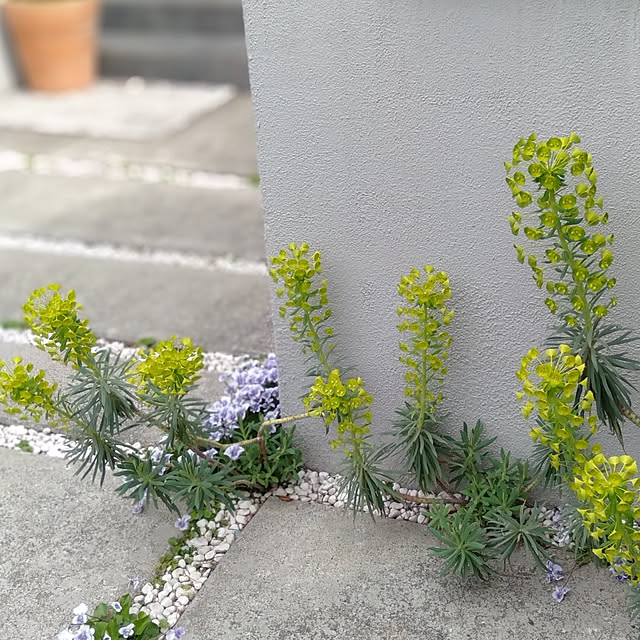 himaco_coさんの実例写真