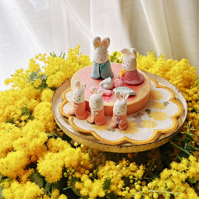 portulacaさんの部屋