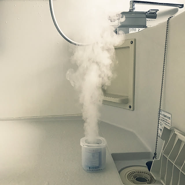 大掃除/賃貸/2DK/バス/トイレのインテリア実例 - 2019-12-28 13:43:18