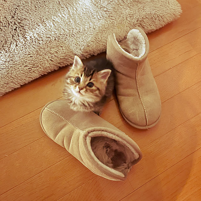Mさんの実例写真