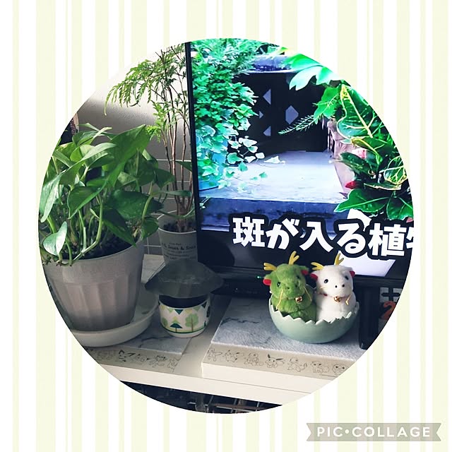 futukoさんの部屋