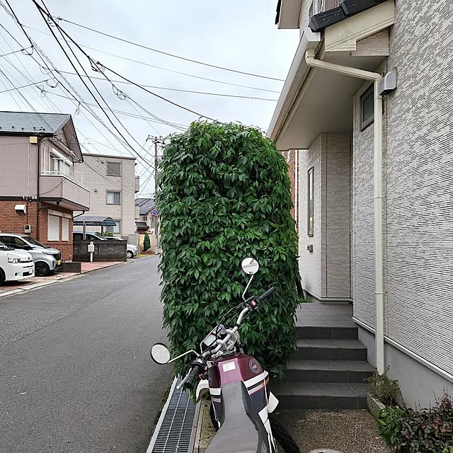 yasu10さんの部屋