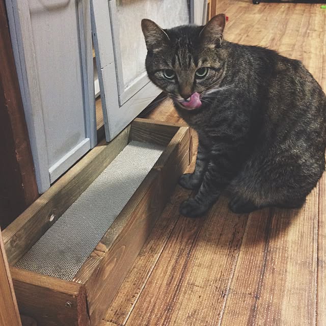 chocoさんの実例写真