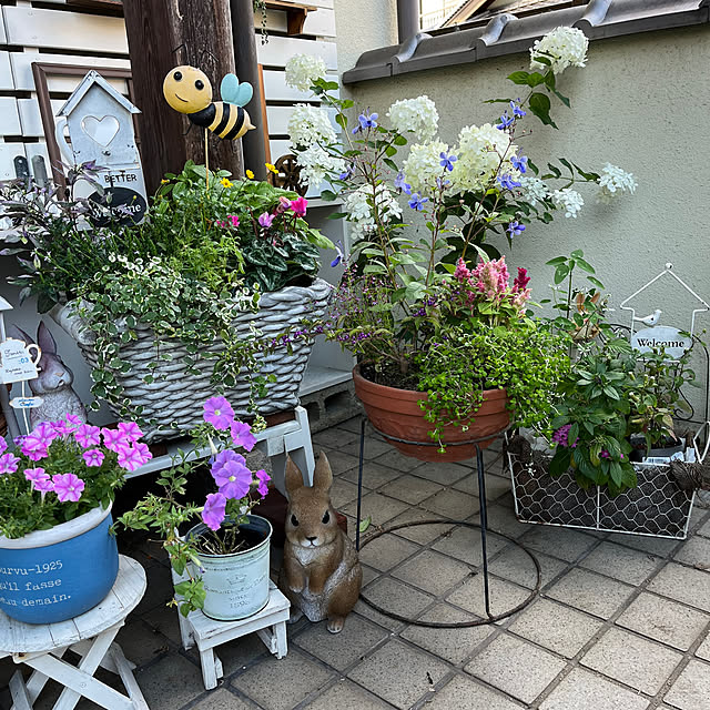seiko44さんの部屋