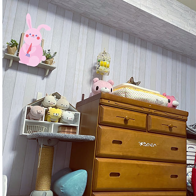 zinさんの実例写真