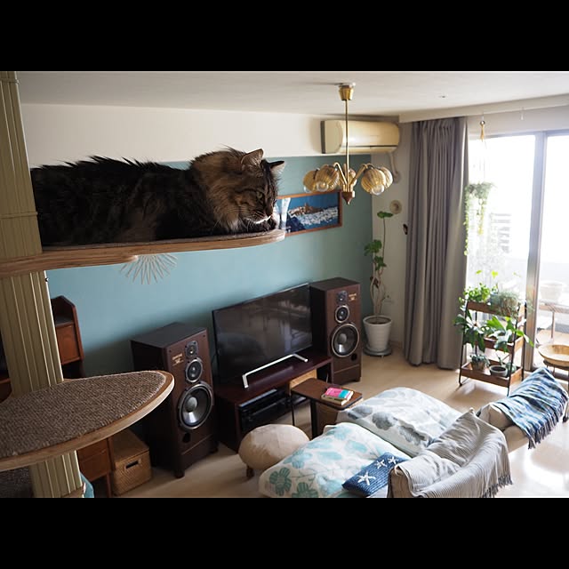 sachiblancさんの実例写真