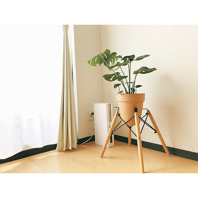 otsuka.jctさんの実例写真