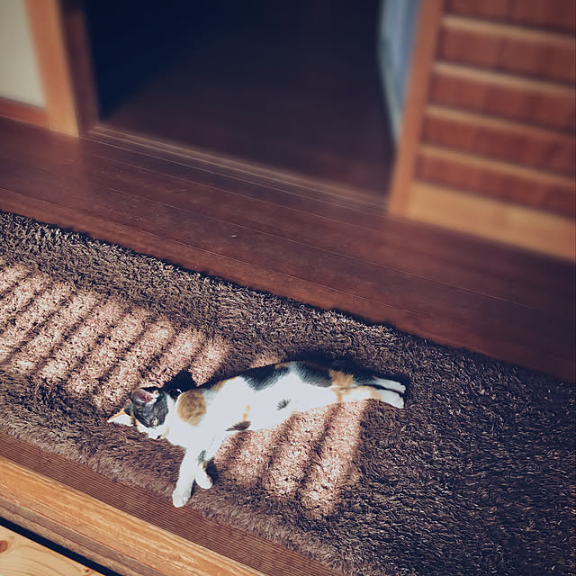 maroさんの実例写真