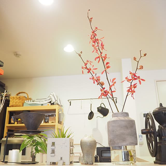 matsumura_heroさんの実例写真