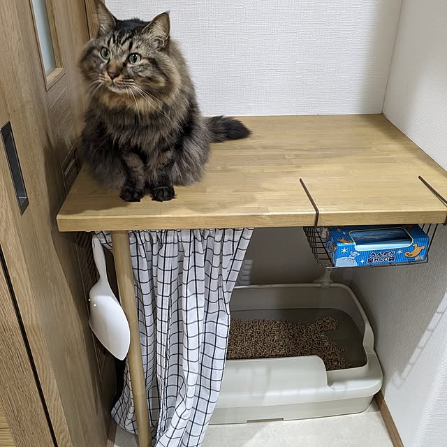 sayan_0321さんの実例写真