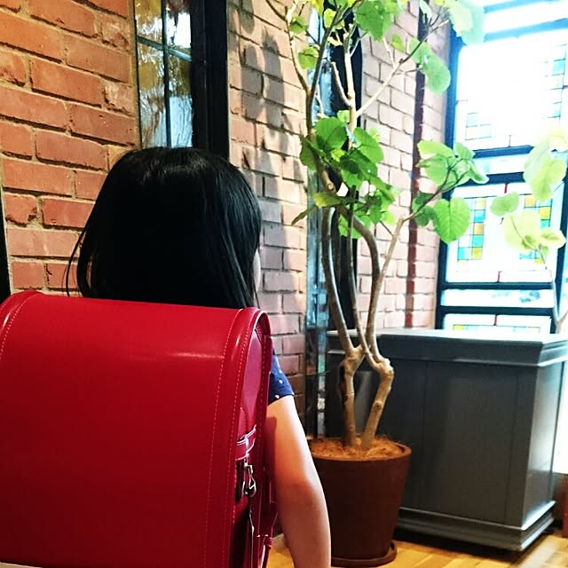 shimayaさんの実例写真