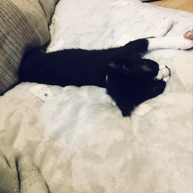 hijikiさんの実例写真