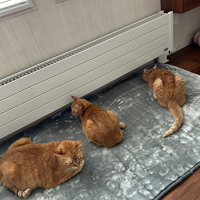 mikeume7さんの部屋