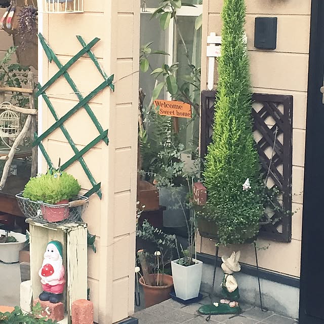 takakoさんの実例写真