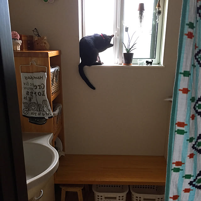 nanaさんの実例写真