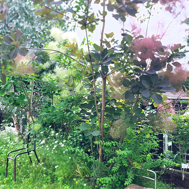 oa.mさんの実例写真