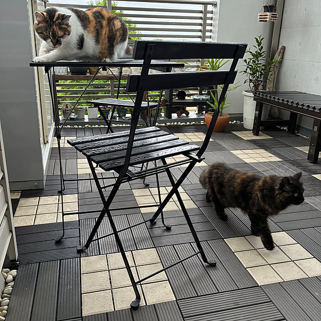 tomotomoさんの実例写真