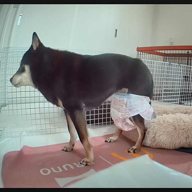 ponhanaさんの部屋