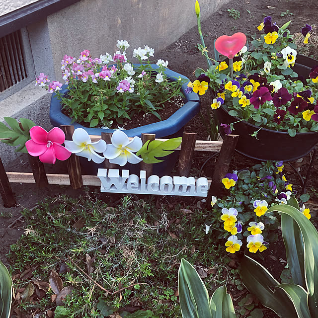 satooさんの部屋