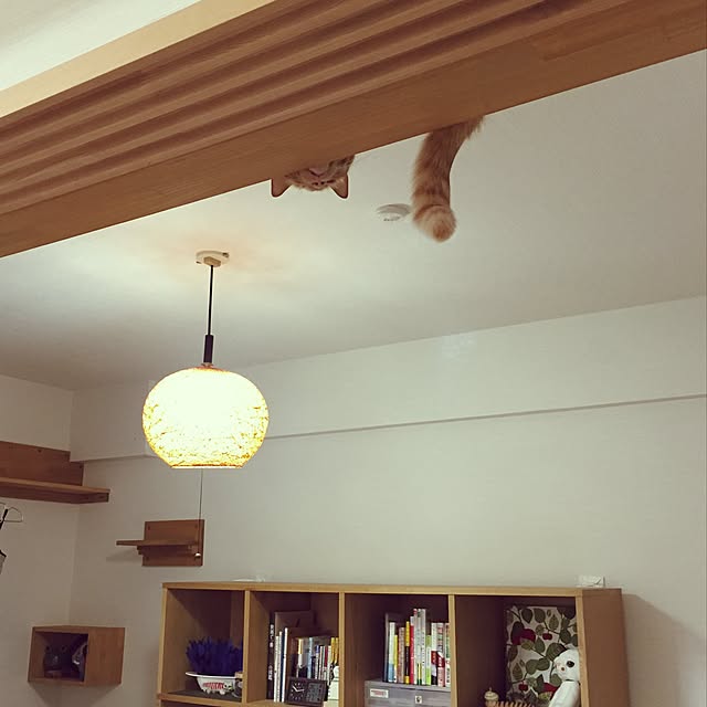 Ryokoさんの実例写真