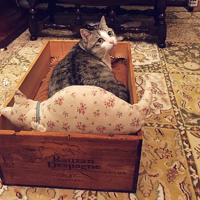 emmyyさんの実例写真