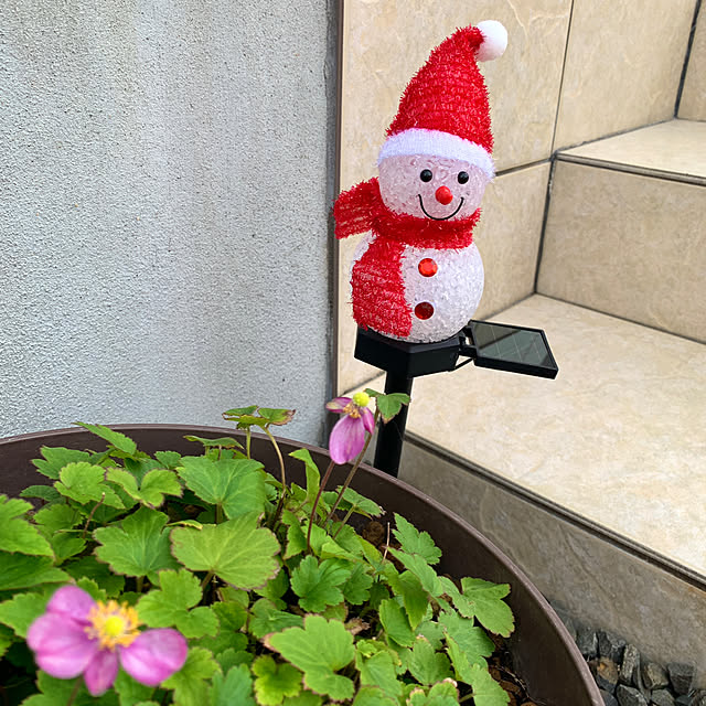 koko_hikaさんの部屋