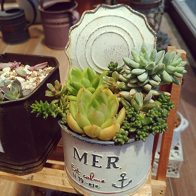 mymさんの実例写真