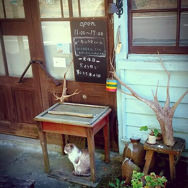 Hanarecoyaさんの実例写真