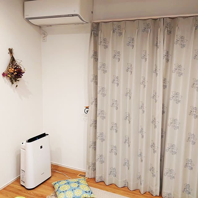 HAsiさんの実例写真
